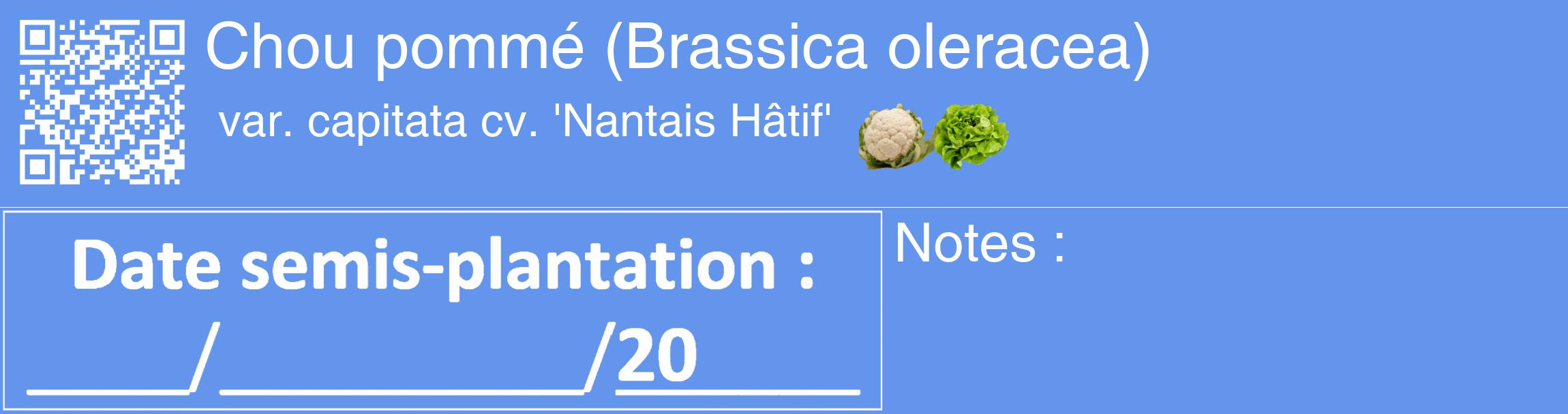 Étiquette de : Brassica oleracea var. capitata cv. 'Nantais Hâtif' - format c - style blanche4_basique_basiquehel avec qrcode et comestibilité simplifiée