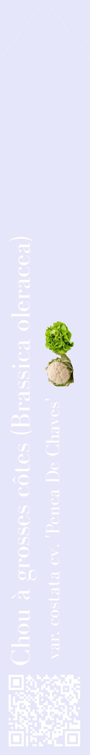 Étiquette de : Brassica oleracea var. costata cv. 'Penca De Chaves' - format c - style blanche55_simplebod avec qrcode et comestibilité simplifiée