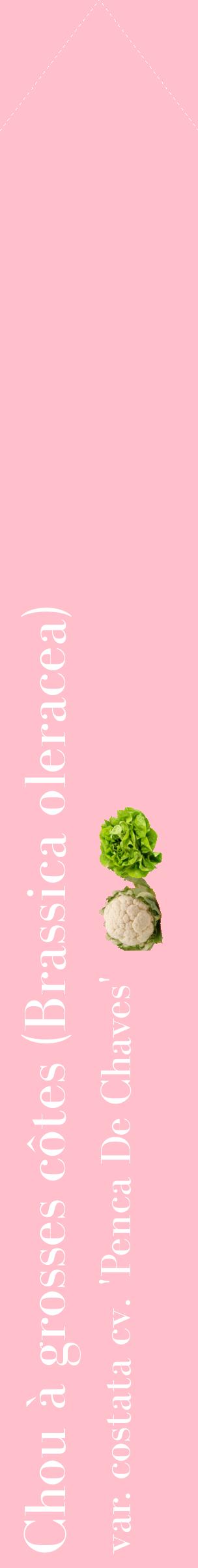 Étiquette de : Brassica oleracea var. costata cv. 'Penca De Chaves' - format c - style blanche40_simplebod avec comestibilité simplifiée