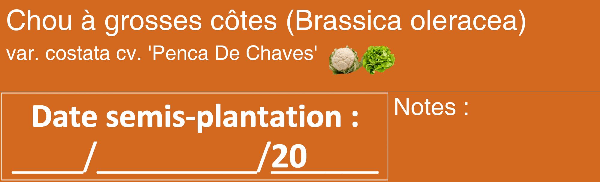 Étiquette de : Brassica oleracea var. costata cv. 'Penca De Chaves' - format c - style blanche31_basique_basiquehel avec comestibilité simplifiée