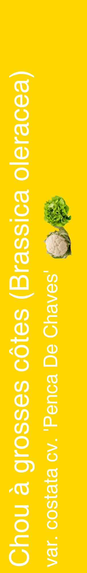 Étiquette de : Brassica oleracea var. costata cv. 'Penca De Chaves' - format c - style blanche21_basiquehel avec comestibilité simplifiée
