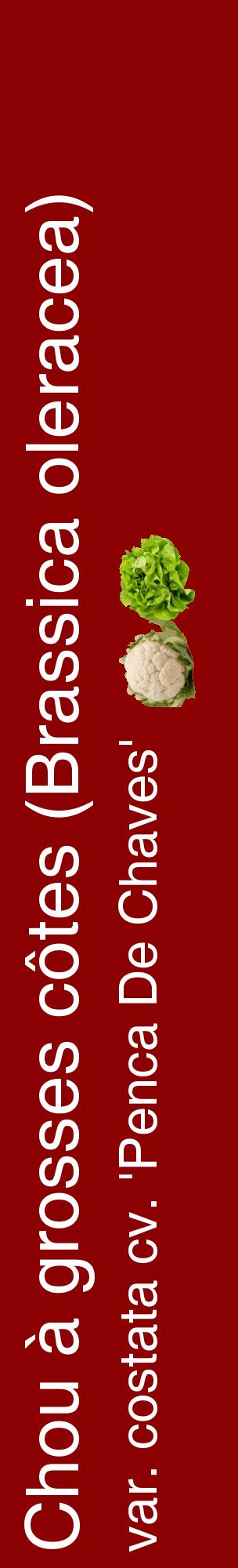 Étiquette de : Brassica oleracea var. costata cv. 'Penca De Chaves' - format c - style blanche34_basiquehel avec comestibilité simplifiée