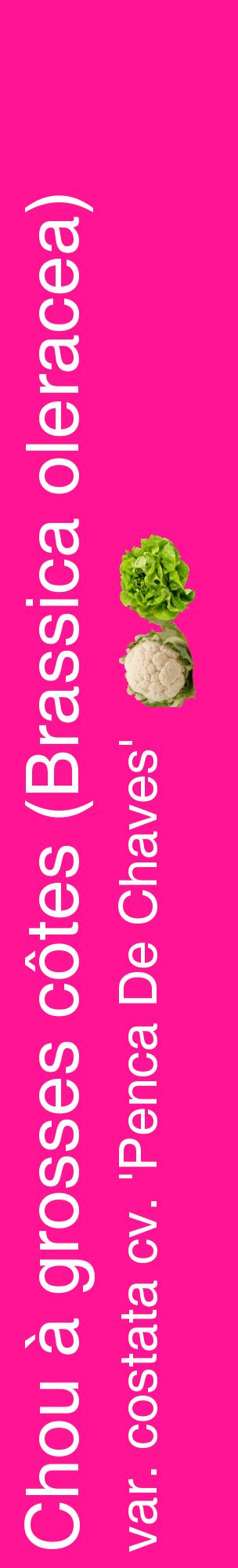 Étiquette de : Brassica oleracea var. costata cv. 'Penca De Chaves' - format c - style blanche43_basiquehel avec comestibilité simplifiée