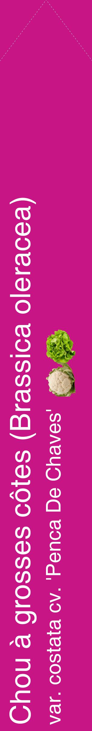Étiquette de : Brassica oleracea var. costata cv. 'Penca De Chaves' - format c - style blanche45_simplehel avec comestibilité simplifiée