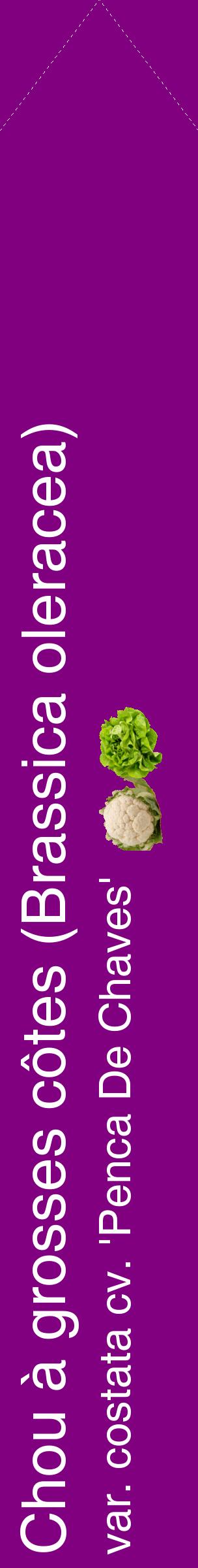 Étiquette de : Brassica oleracea var. costata cv. 'Penca De Chaves' - format c - style blanche46_simplehel avec comestibilité simplifiée