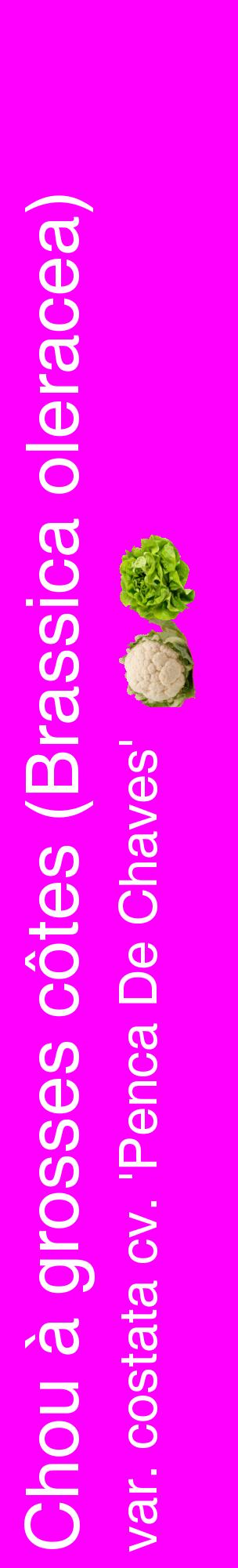 Étiquette de : Brassica oleracea var. costata cv. 'Penca De Chaves' - format c - style blanche51_basiquehel avec comestibilité simplifiée