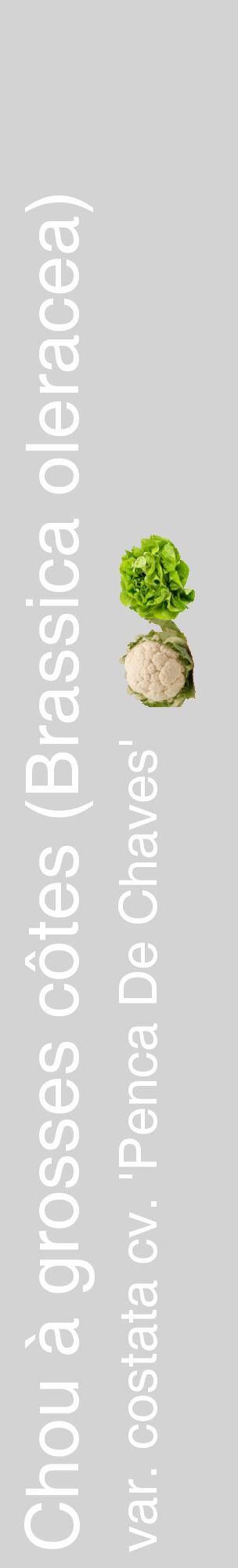Étiquette de : Brassica oleracea var. costata cv. 'Penca De Chaves' - format c - style blanche56_basiquehel avec comestibilité simplifiée