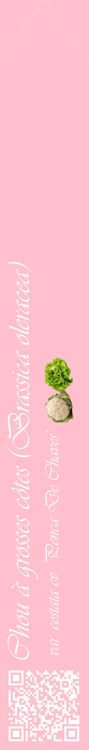 Étiquette de : Brassica oleracea var. costata cv. 'Penca De Chaves' - format c - style blanche40_simpleviv avec qrcode et comestibilité simplifiée