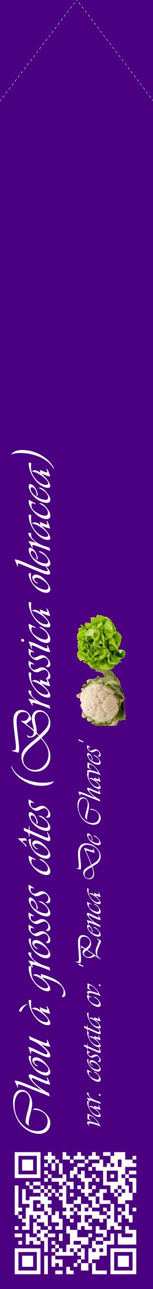 Étiquette de : Brassica oleracea var. costata cv. 'Penca De Chaves' - format c - style blanche47_simpleviv avec qrcode et comestibilité simplifiée