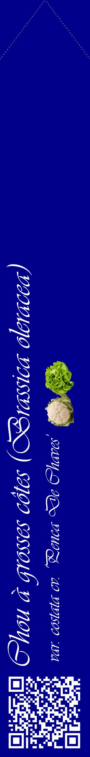 Étiquette de : Brassica oleracea var. costata cv. 'Penca De Chaves' - format c - style blanche7_simpleviv avec qrcode et comestibilité simplifiée