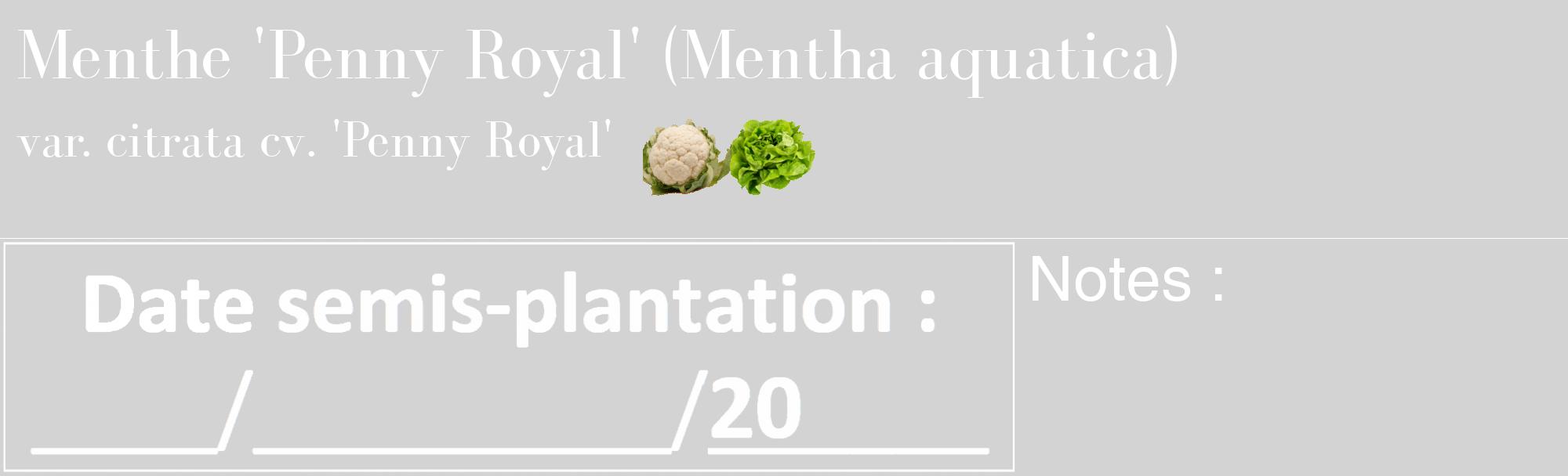Étiquette de : Mentha aquatica var. citrata cv. 'Penny Royal' - format c - style blanche56_basique_basiquebod avec comestibilité simplifiée