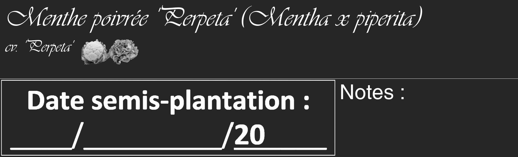 Étiquette de : Mentha x piperita cv. 'Perpeta' - format c - style blanche29_basique_basiqueviv avec comestibilité simplifiée