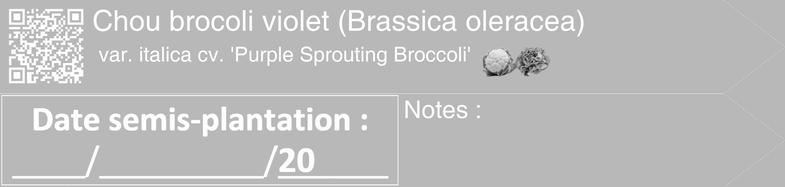 Étiquette de : Brassica oleracea var. italica cv. 'Purple Sprouting Broccoli' - format c - style blanche39_simple_simplehel avec qrcode et comestibilité simplifiée