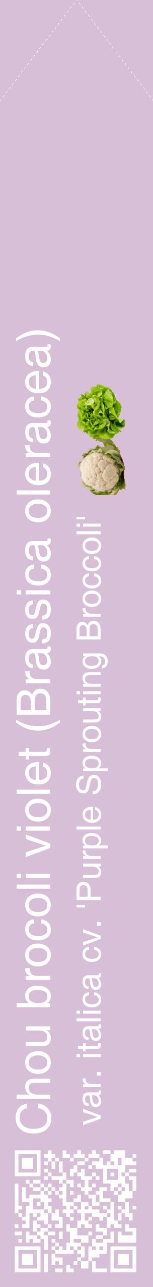 Étiquette de : Brassica oleracea var. italica cv. 'Purple Sprouting Broccoli' - format c - style blanche54_simplehel avec qrcode et comestibilité simplifiée