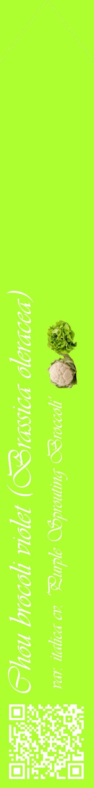 Étiquette de : Brassica oleracea var. italica cv. 'Purple Sprouting Broccoli' - format c - style blanche17_simpleviv avec qrcode et comestibilité simplifiée