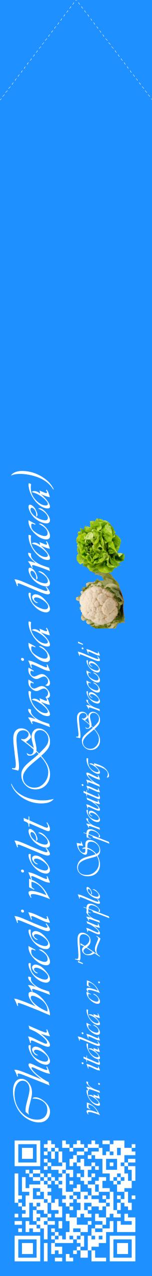 Étiquette de : Brassica oleracea var. italica cv. 'Purple Sprouting Broccoli' - format c - style blanche3_simpleviv avec qrcode et comestibilité simplifiée