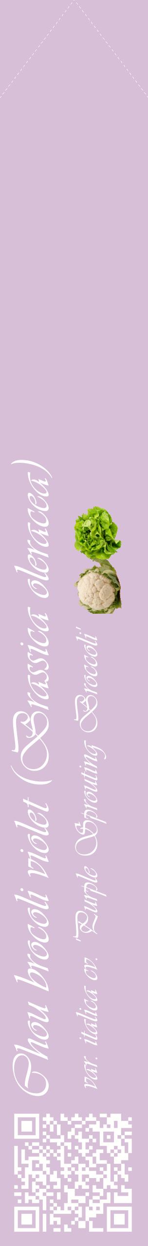 Étiquette de : Brassica oleracea var. italica cv. 'Purple Sprouting Broccoli' - format c - style blanche54_simpleviv avec qrcode et comestibilité simplifiée