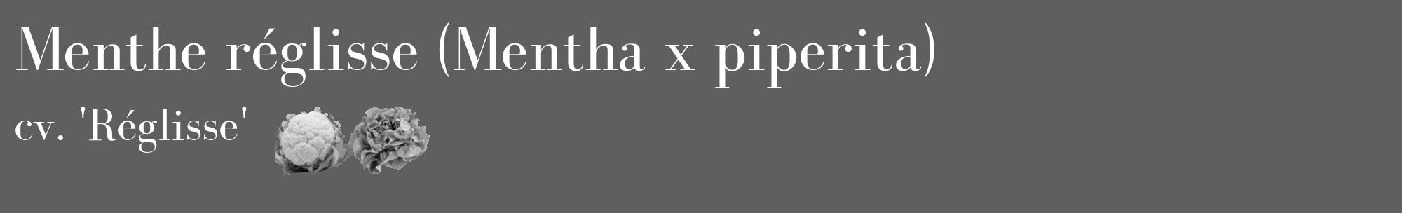 Étiquette de : Mentha x piperita cv. 'Réglisse' - format c - style blanche10_basique_basiquebod avec comestibilité simplifiée