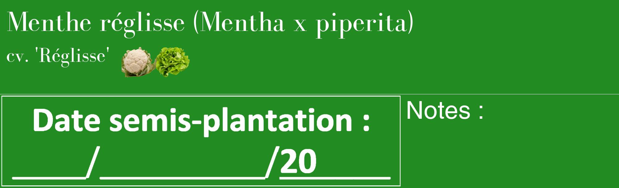 Étiquette de : Mentha x piperita cv. 'Réglisse' - format c - style blanche10_basique_basiquebod avec comestibilité simplifiée