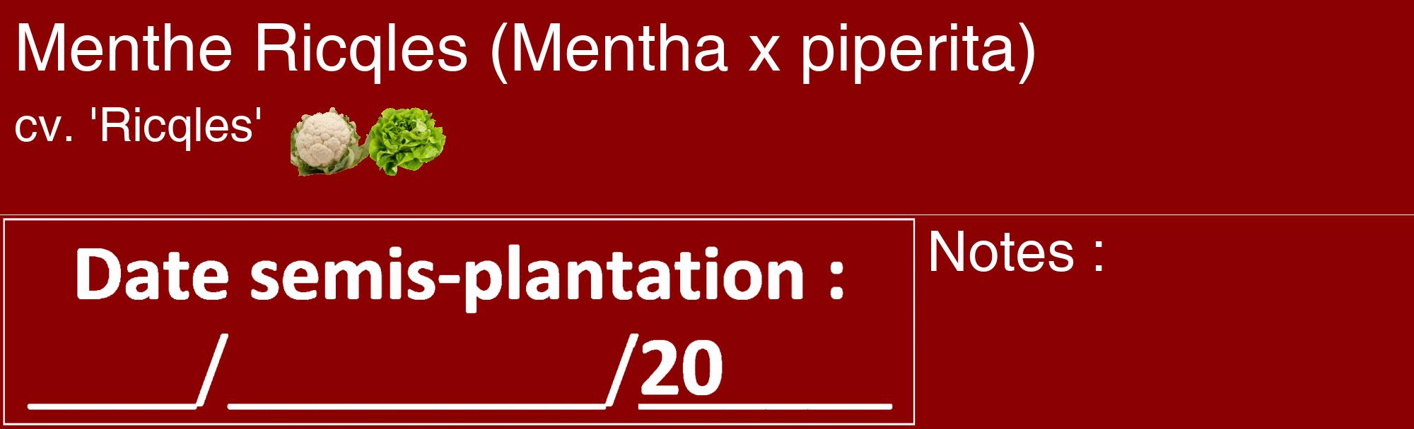 Étiquette de : Mentha x piperita cv. 'Ricqles' - format c - style blanche34_basique_basiquehel avec comestibilité simplifiée