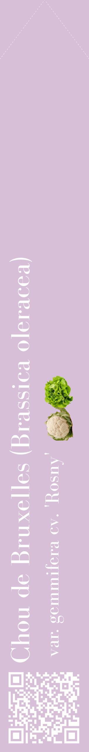 Étiquette de : Brassica oleracea var. gemmifera cv. 'Rosny' - format c - style blanche54_simplebod avec qrcode et comestibilité simplifiée