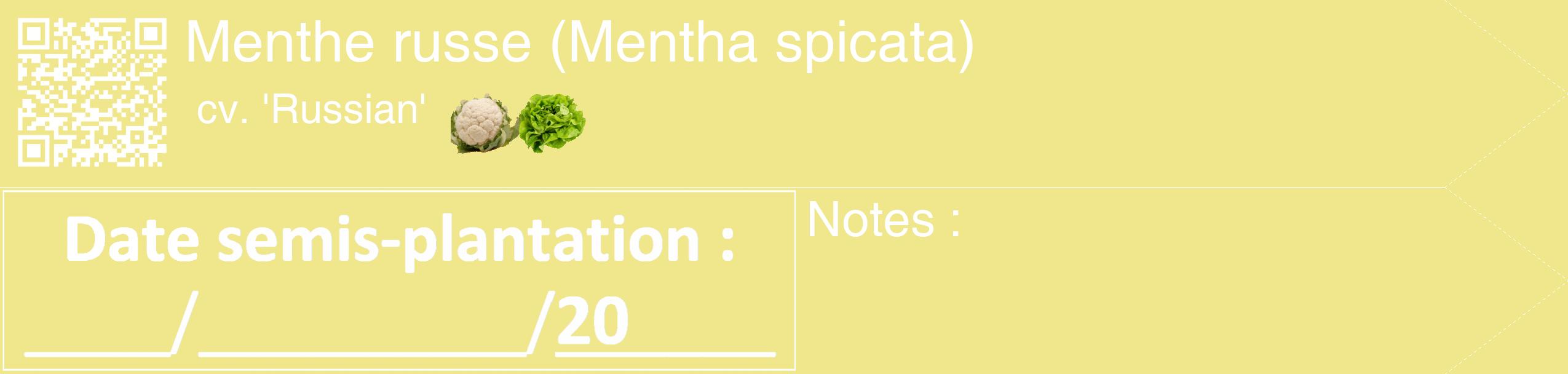 Étiquette de : Mentha spicata cv. 'Russian' - format c - style blanche20_simple_simplehel avec qrcode et comestibilité simplifiée