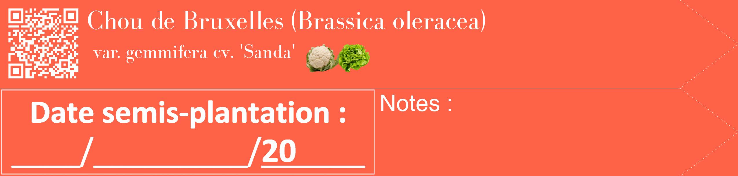 Étiquette de : Brassica oleracea var. gemmifera cv. 'Sanda' - format c - style blanche25_simple_simplebod avec qrcode et comestibilité simplifiée