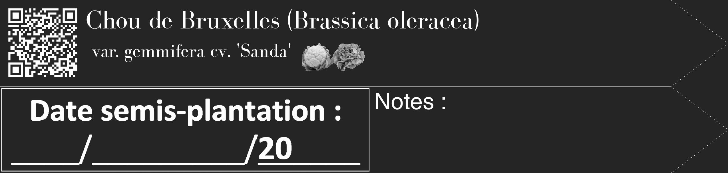 Étiquette de : Brassica oleracea var. gemmifera cv. 'Sanda' - format c - style blanche47_simple_simplebod avec qrcode et comestibilité simplifiée