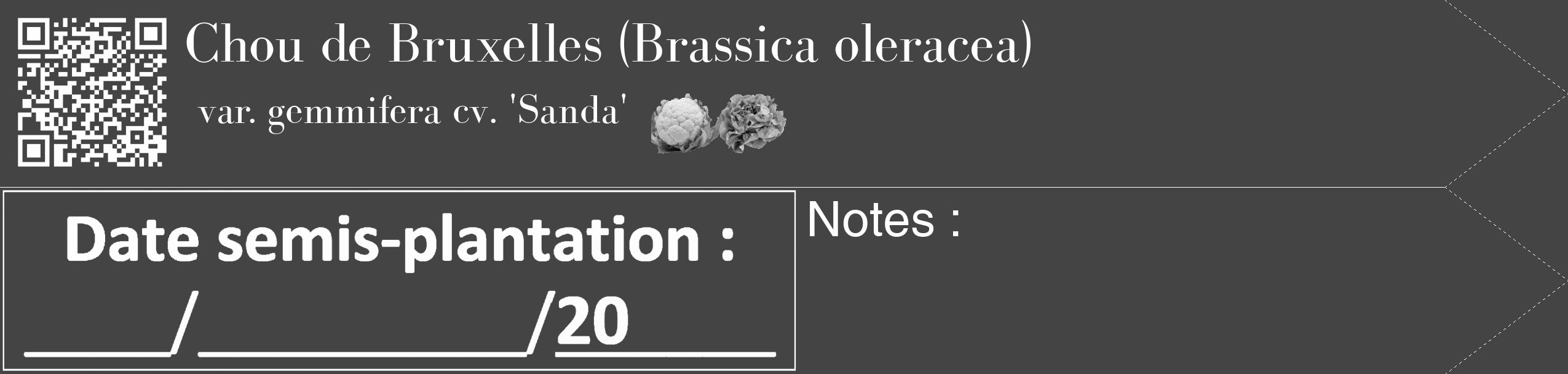 Étiquette de : Brassica oleracea var. gemmifera cv. 'Sanda' - format c - style blanche48_simple_simplebod avec qrcode et comestibilité simplifiée