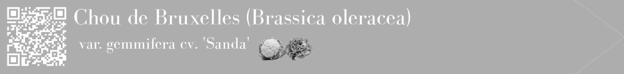 Étiquette de : Brassica oleracea var. gemmifera cv. 'Sanda' - format c - style blanche53_simple_simplebod avec qrcode et comestibilité simplifiée