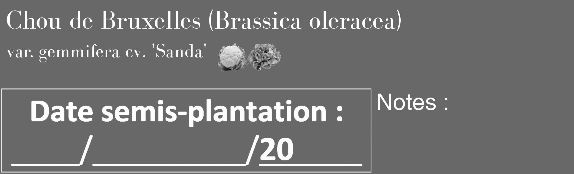 Étiquette de : Brassica oleracea var. gemmifera cv. 'Sanda' - format c - style blanche43_basique_basiquebod avec comestibilité simplifiée