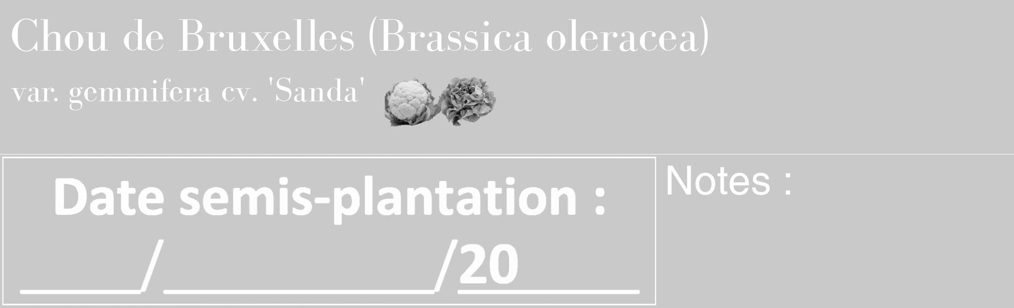 Étiquette de : Brassica oleracea var. gemmifera cv. 'Sanda' - format c - style blanche54_basique_basiquebod avec comestibilité simplifiée