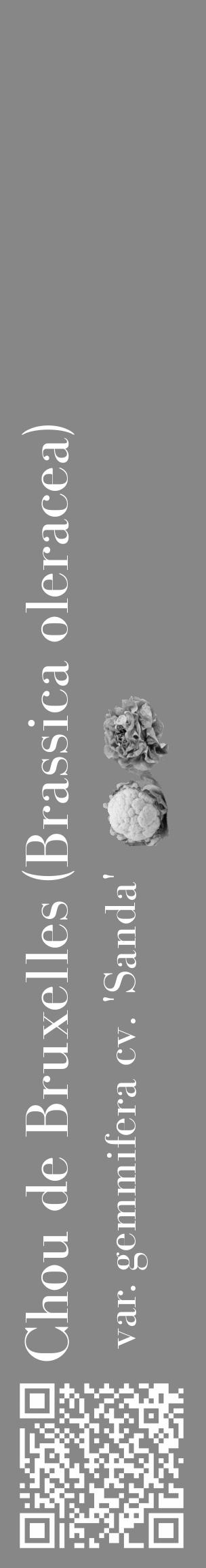 Étiquette de : Brassica oleracea var. gemmifera cv. 'Sanda' - format c - style blanche12_basique_basiquebod avec qrcode et comestibilité simplifiée - position verticale
