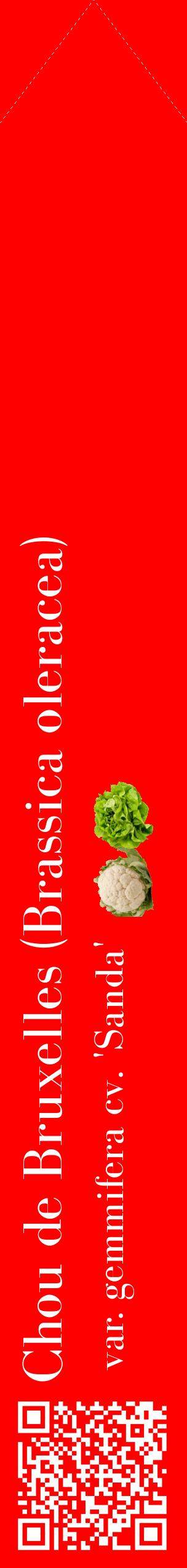 Étiquette de : Brassica oleracea var. gemmifera cv. 'Sanda' - format c - style blanche27_simplebod avec qrcode et comestibilité simplifiée