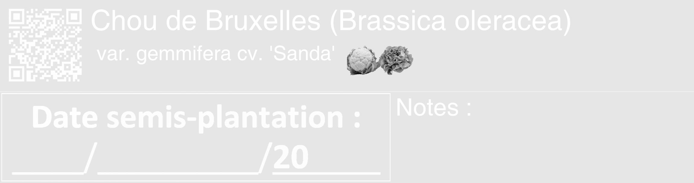 Étiquette de : Brassica oleracea var. gemmifera cv. 'Sanda' - format c - style blanche18_basique_basiquehel avec qrcode et comestibilité simplifiée