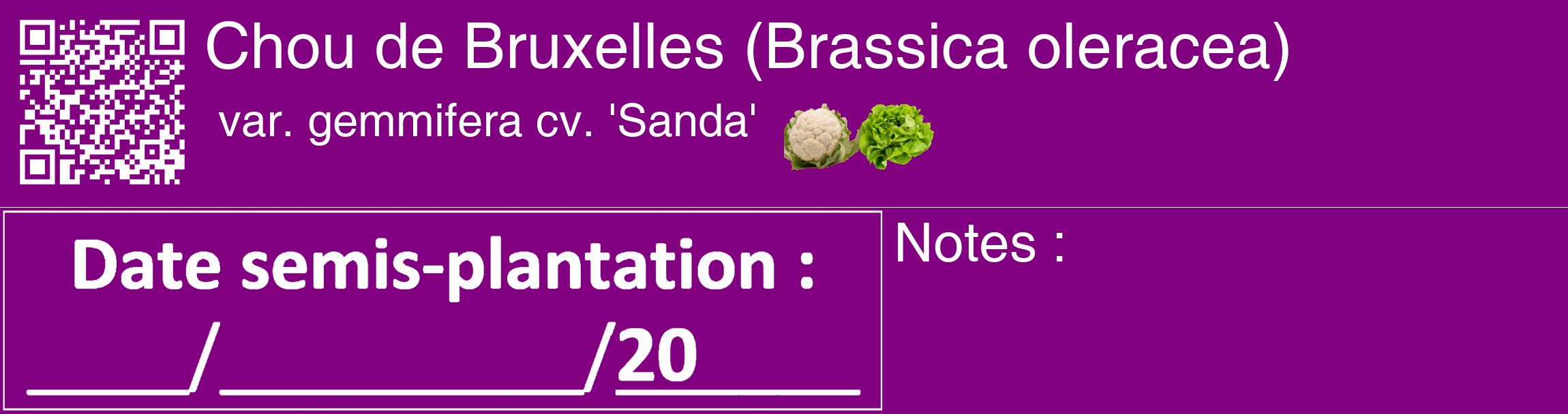 Étiquette de : Brassica oleracea var. gemmifera cv. 'Sanda' - format c - style blanche46_basique_basiquehel avec qrcode et comestibilité simplifiée