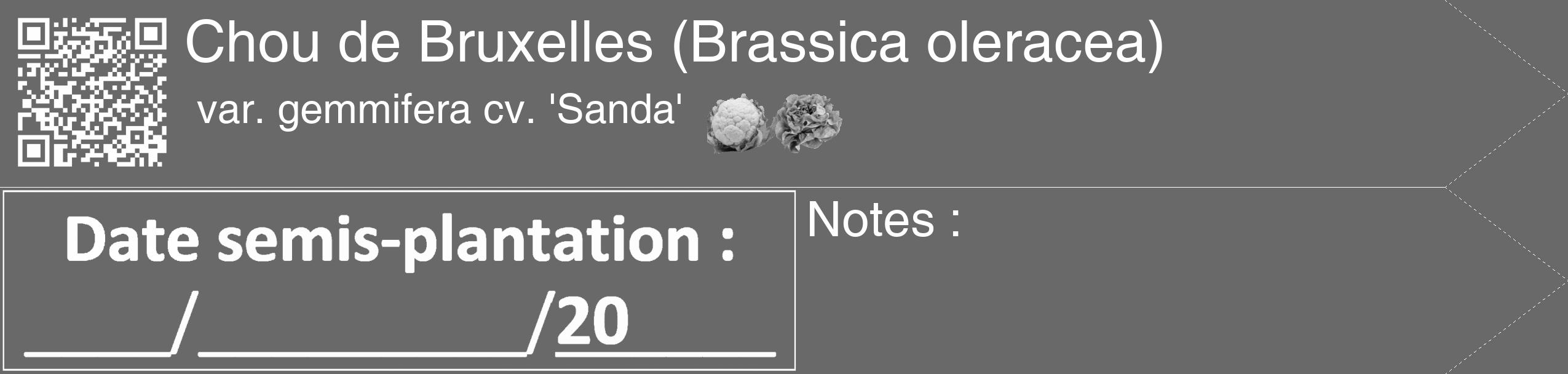 Étiquette de : Brassica oleracea var. gemmifera cv. 'Sanda' - format c - style blanche51_simple_simplehel avec qrcode et comestibilité simplifiée