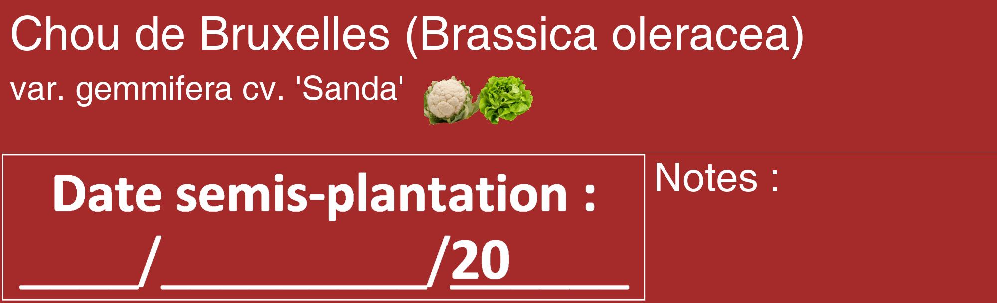 Étiquette de : Brassica oleracea var. gemmifera cv. 'Sanda' - format c - style blanche33_basique_basiquehel avec comestibilité simplifiée