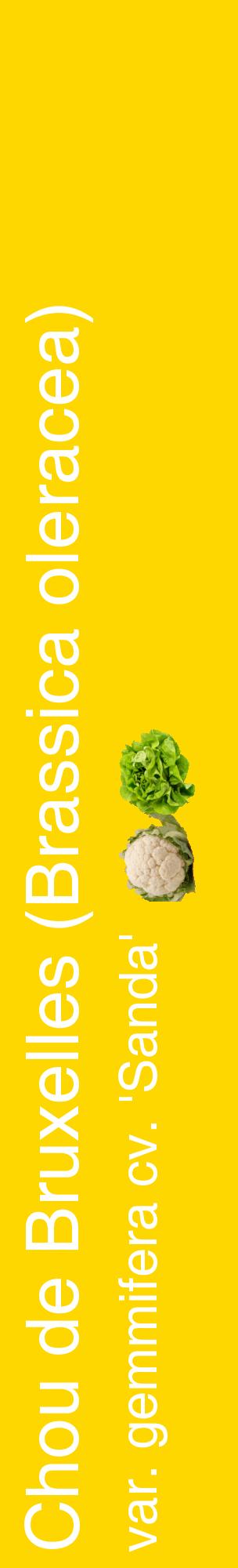 Étiquette de : Brassica oleracea var. gemmifera cv. 'Sanda' - format c - style blanche21_basiquehel avec comestibilité simplifiée