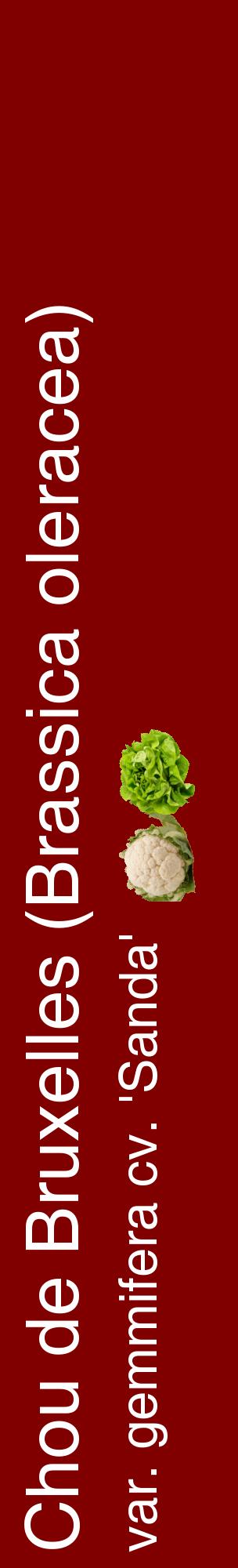 Étiquette de : Brassica oleracea var. gemmifera cv. 'Sanda' - format c - style blanche29_basiquehel avec comestibilité simplifiée