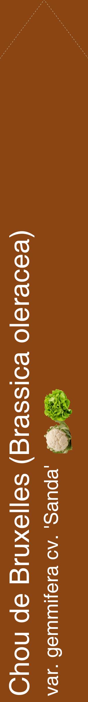 Étiquette de : Brassica oleracea var. gemmifera cv. 'Sanda' - format c - style blanche30_simplehel avec comestibilité simplifiée
