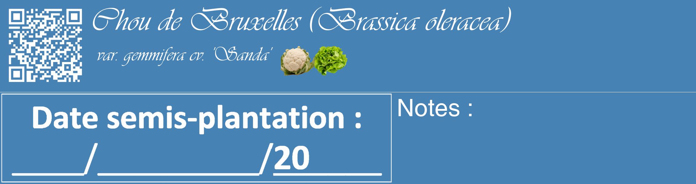 Étiquette de : Brassica oleracea var. gemmifera cv. 'Sanda' - format c - style blanche5_basique_basiqueviv avec qrcode et comestibilité simplifiée