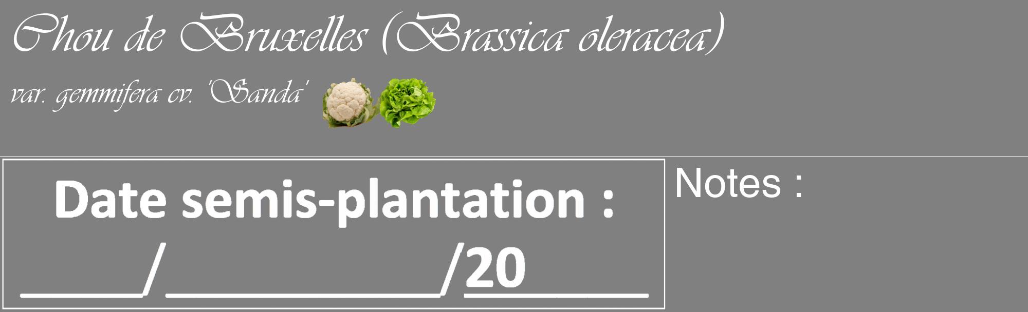 Étiquette de : Brassica oleracea var. gemmifera cv. 'Sanda' - format c - style blanche57_basique_basiqueviv avec comestibilité simplifiée