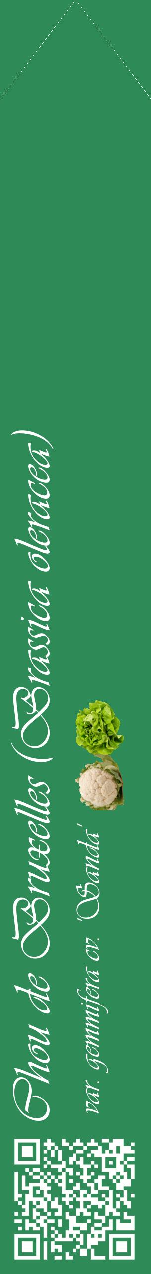 Étiquette de : Brassica oleracea var. gemmifera cv. 'Sanda' - format c - style blanche11_simpleviv avec qrcode et comestibilité simplifiée