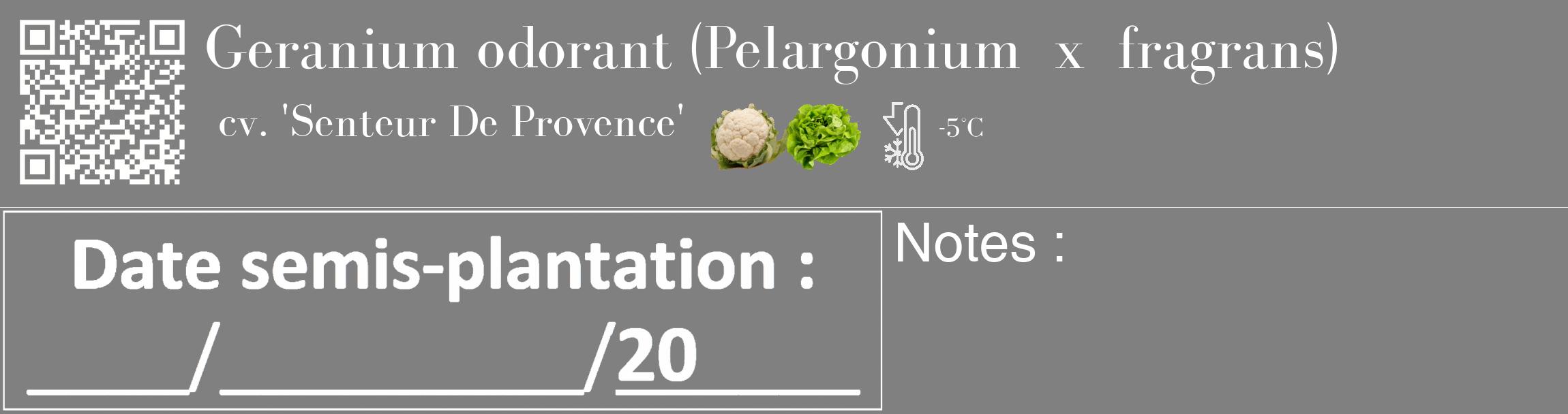Étiquette de : Pelargonium x fragrans cv. 'Senteur De Provence' - format c - style blanche57_basique_basiquebod avec qrcode et comestibilité simplifiée