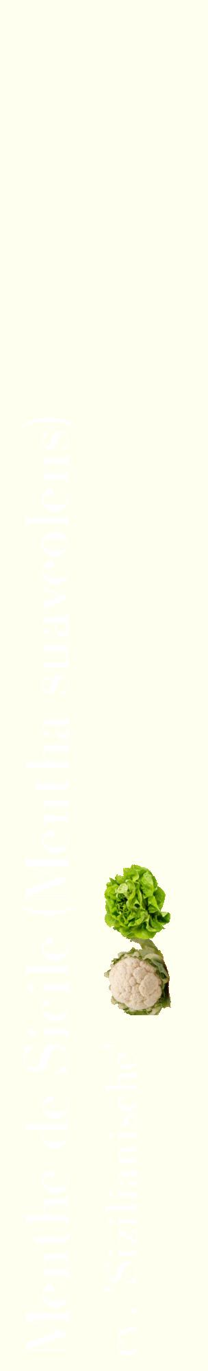 Étiquette de : Mentha suaveolens cv. 'Sizilianische' - format c - style blanche19_basiquebod avec comestibilité simplifiée