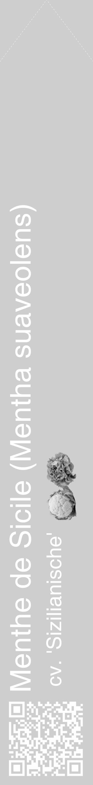 Étiquette de : Mentha suaveolens cv. 'Sizilianische' - format c - style blanche17_simple_simplehel avec qrcode et comestibilité simplifiée - position verticale