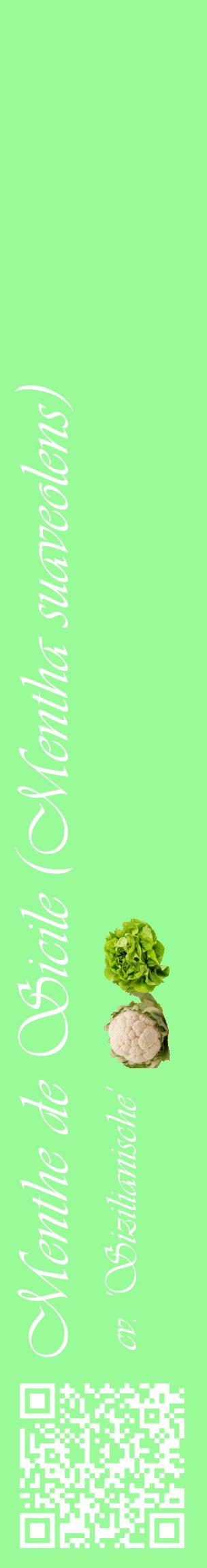 Étiquette de : Mentha suaveolens cv. 'Sizilianische' - format c - style blanche14_basiqueviv avec qrcode et comestibilité simplifiée