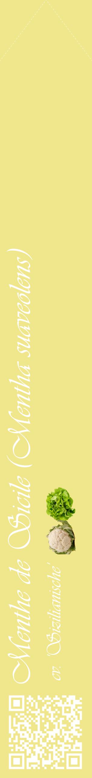 Étiquette de : Mentha suaveolens cv. 'Sizilianische' - format c - style blanche20_simpleviv avec qrcode et comestibilité simplifiée