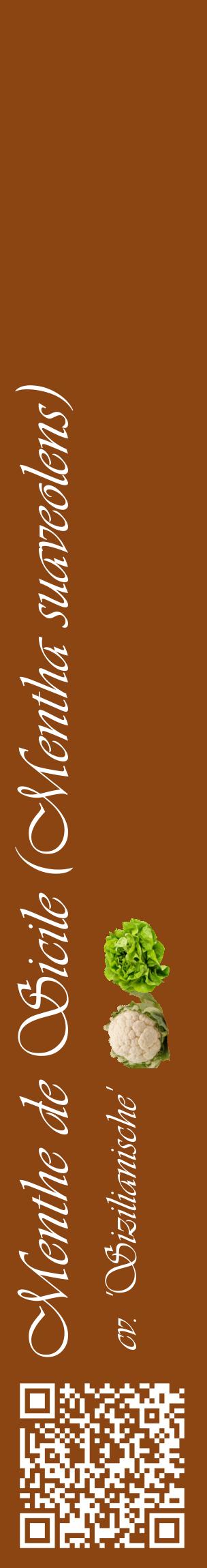 Étiquette de : Mentha suaveolens cv. 'Sizilianische' - format c - style blanche30_basiqueviv avec qrcode et comestibilité simplifiée